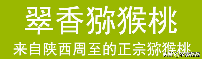 中华猕猴桃之乡的山山水水，看这