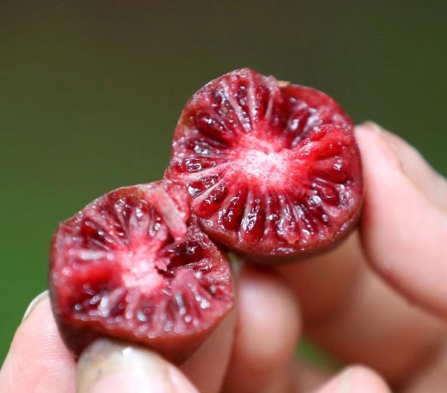 网红水果的种植方法有哪些？-新