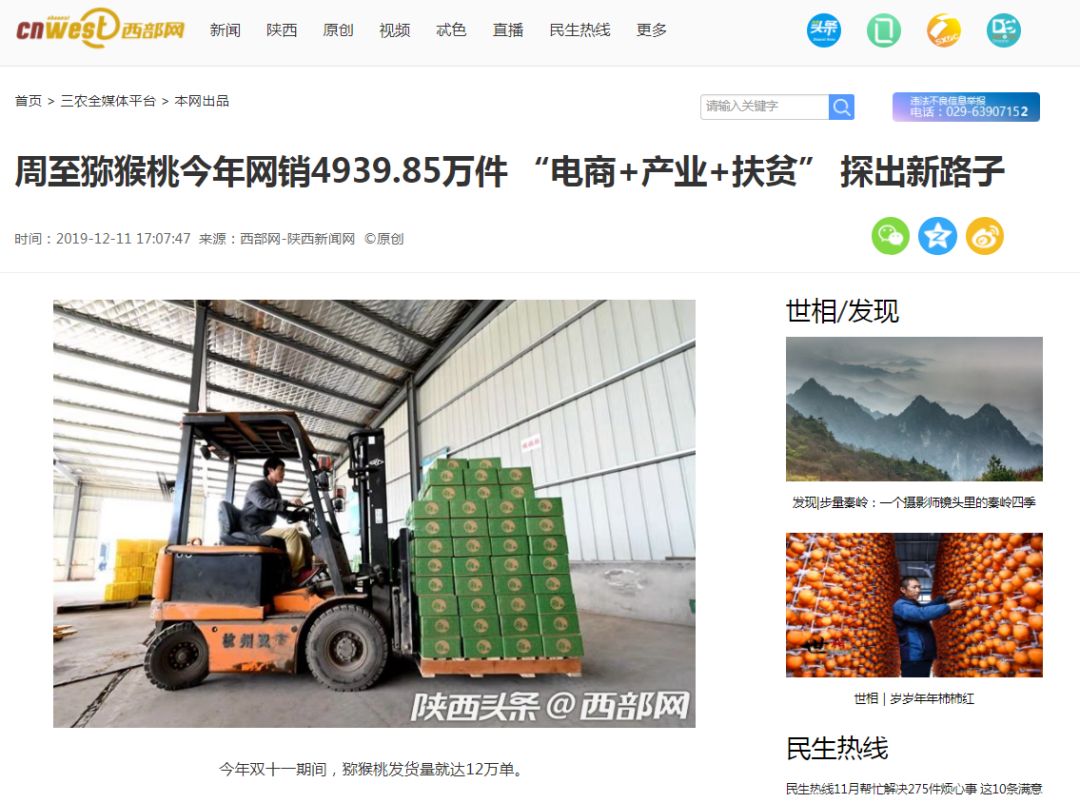2019年网络媒体周至猕猴桃网