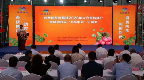 苏陕协作陕西周至猕猴桃2020