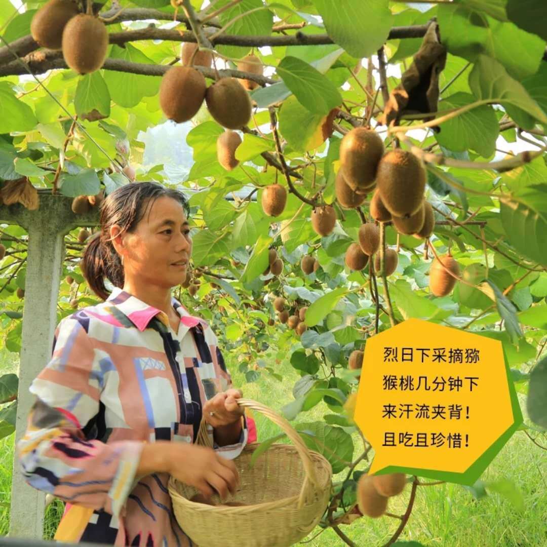 2021陕西水果网络特色季西安