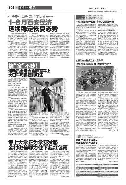 周至县楼观镇周一村猕猴桃迎来收