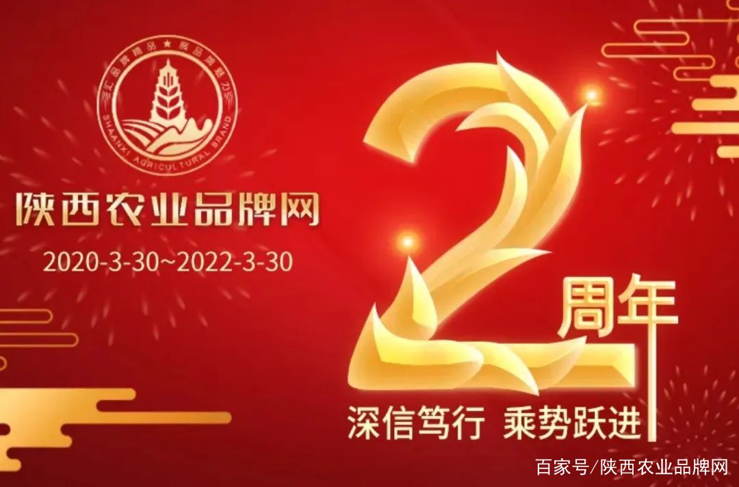 陕西农业品牌网：以“实践者”身