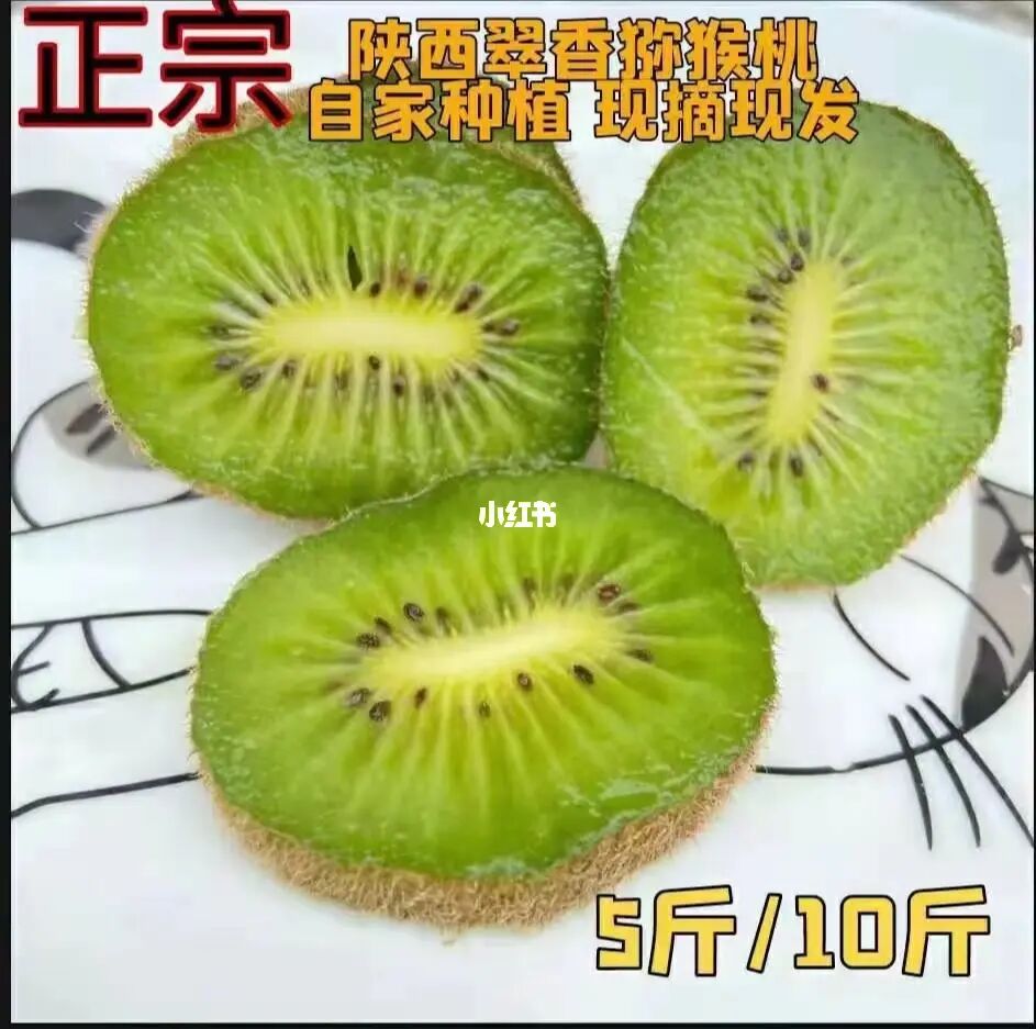 我“陕西西安周至”基地猕猴桃大