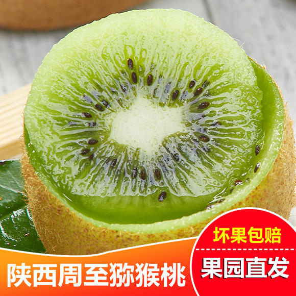 眉县的猕猴桃苗都是从周至过去的