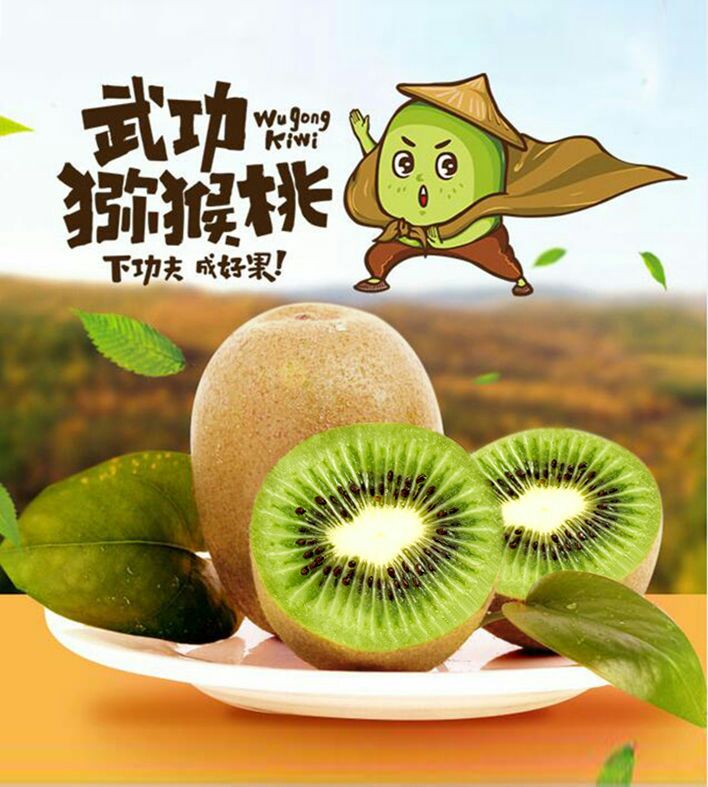 武功县举办“欢庆丰收感党恩数字