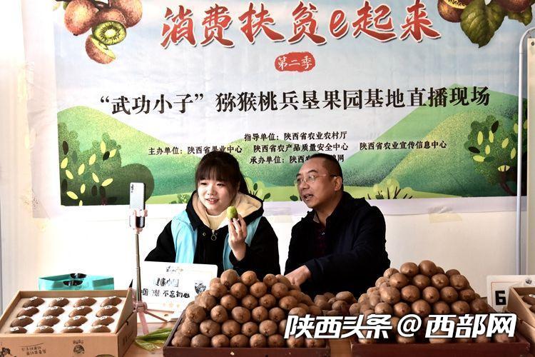 东新镇积极探索猕猴桃直播电商节