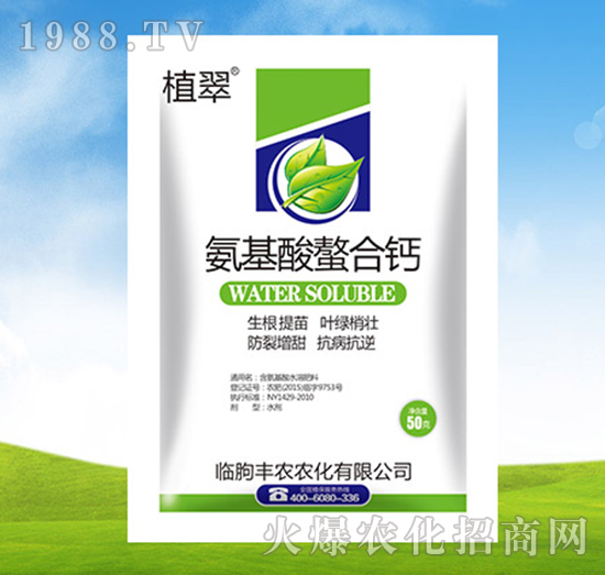 翠香有那么容易吃到吗？人在种植