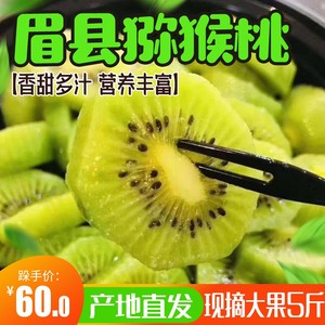 眉县政府与大气农场签约共建数字