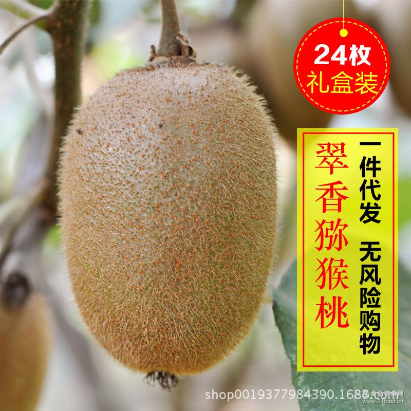 中庭井栏上，一架猕猴桃，才走向
