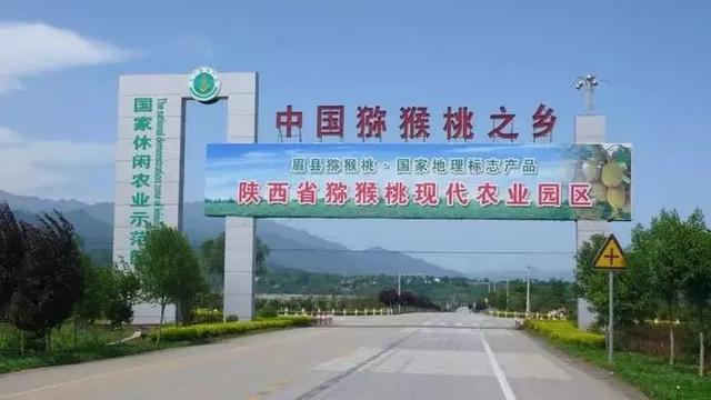 你知道红心猕猴桃的产地有哪些吗