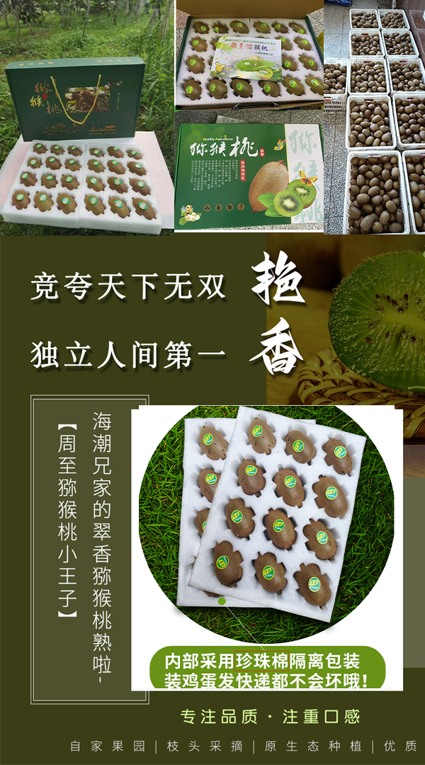小红书猕猴桃11号.png