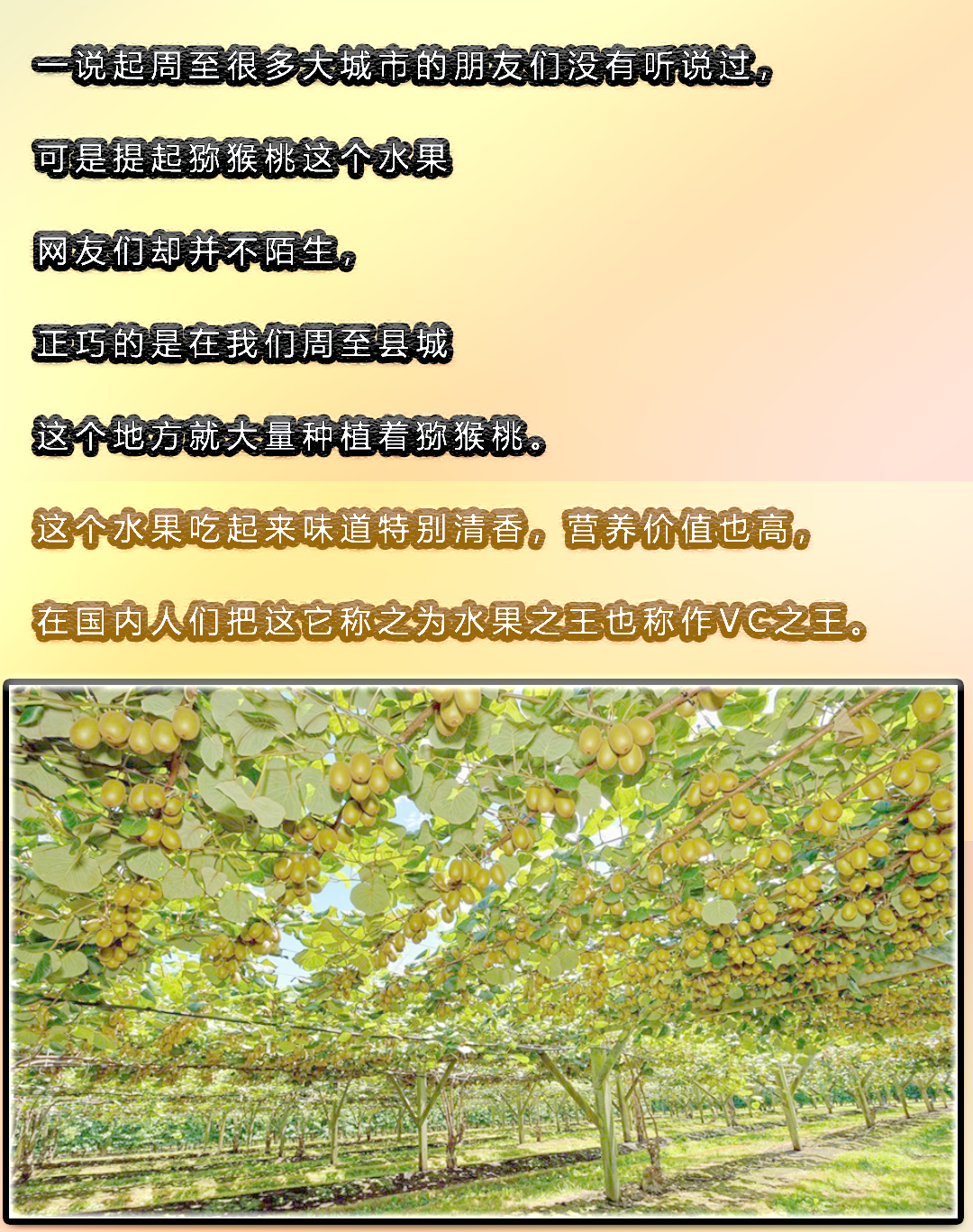 周至地方介绍1.png